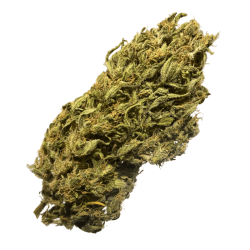 Lemon auto CBD