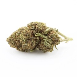 Skywalker OG NL3